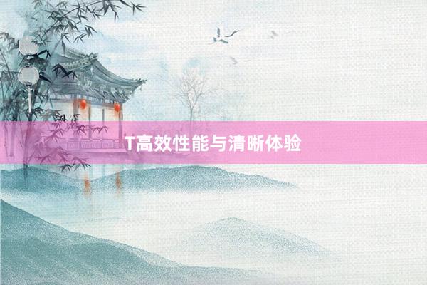 T高效性能与清晰体验