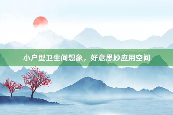 小户型卫生间想象，好意思妙应用空间
