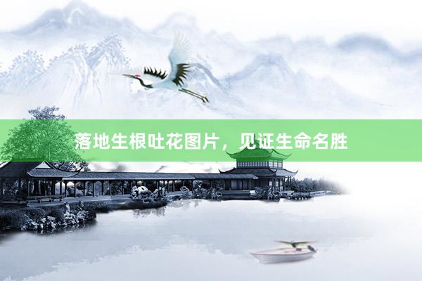 落地生根吐花图片，见证生命名胜