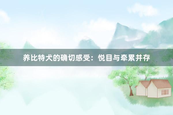 养比特犬的确切感受：悦目与牵累并存