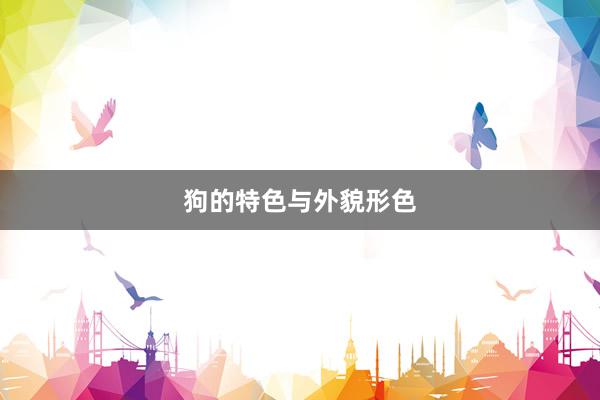 狗的特色与外貌形色