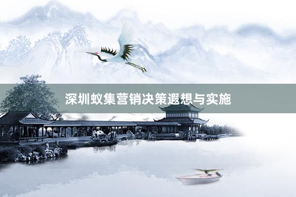 深圳蚁集营销决策遐想与实施